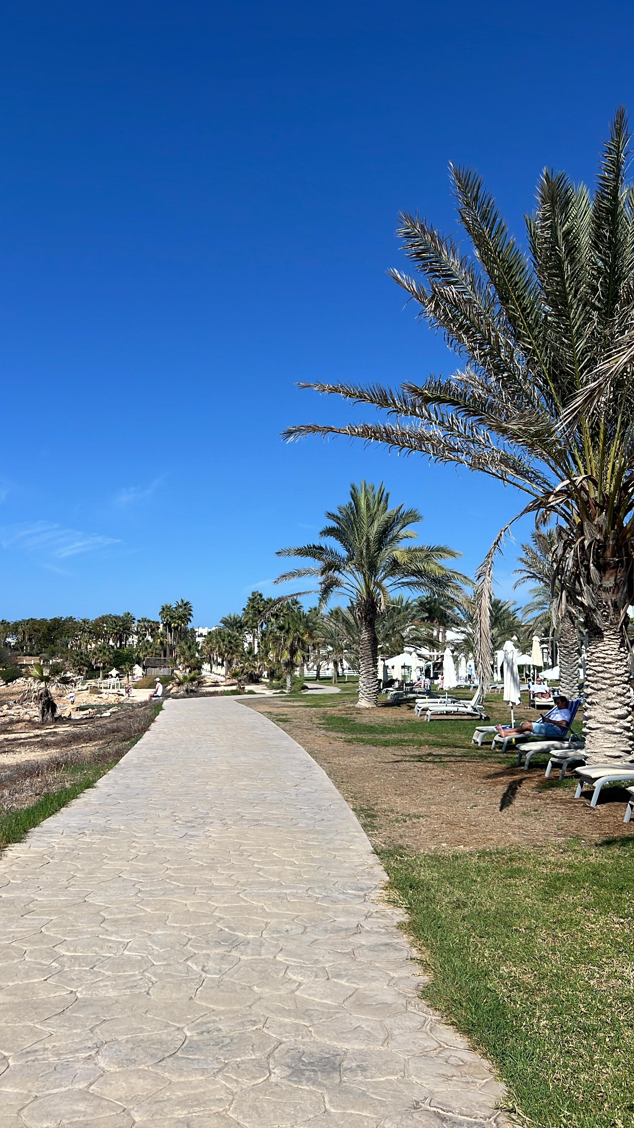 Akti Beach Hotel & Village Resort-浴室