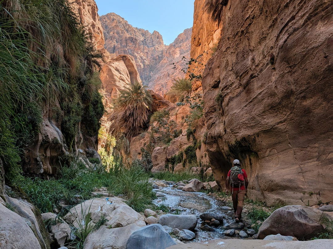 Jordan Trail Guide-佩特拉必去景点