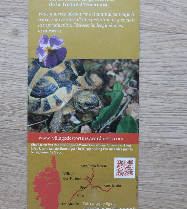 Le village des tortues-Moltifao必去景点