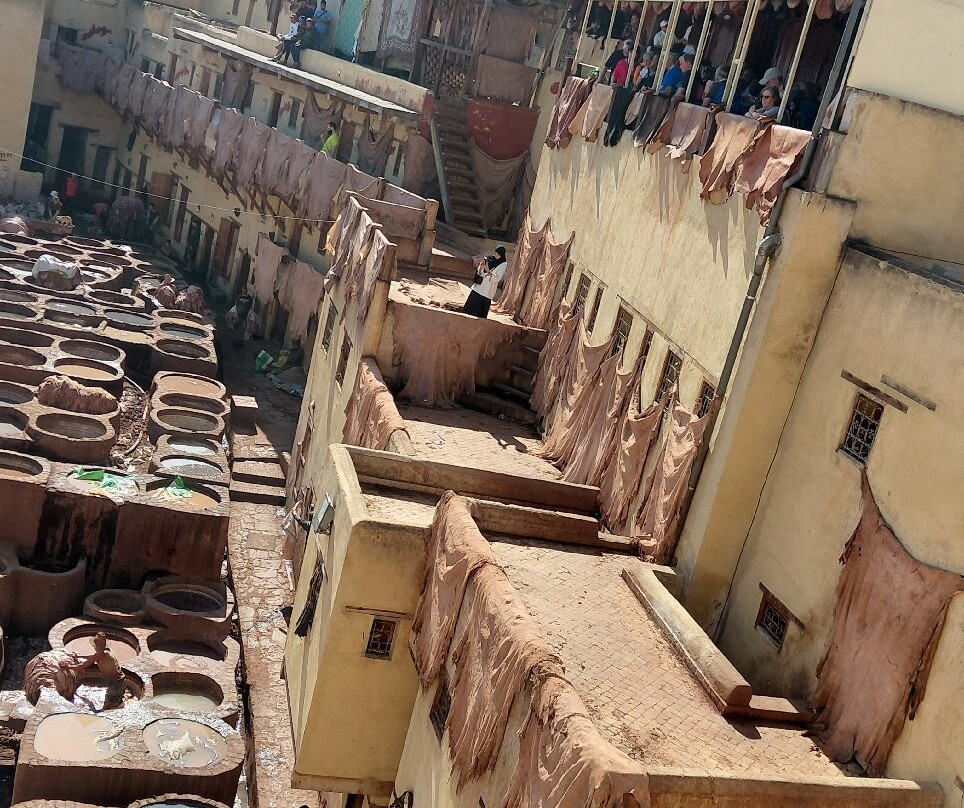 Bachir & Freres Tours-非斯必去景点