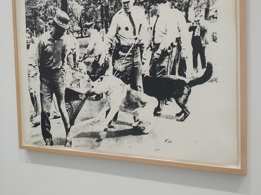 布洛德艺术博物馆-洛杉矶必去景点