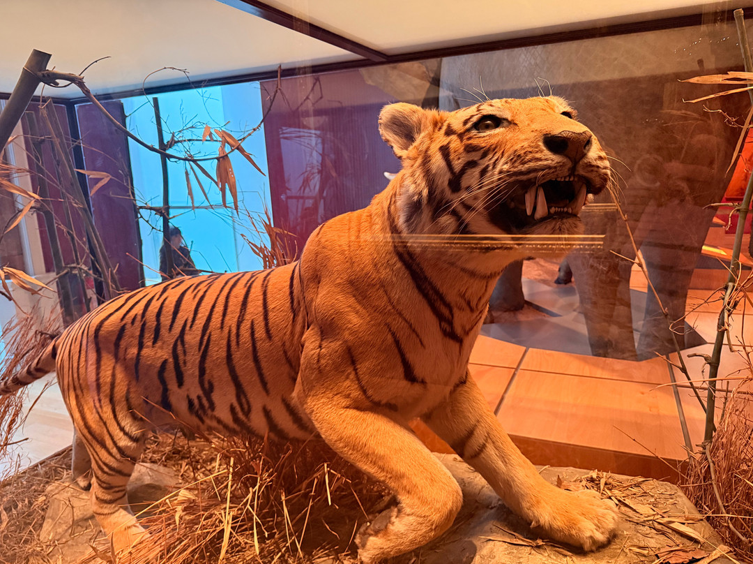 皇家艾伯特纪念博物馆-埃克塞特必去景点