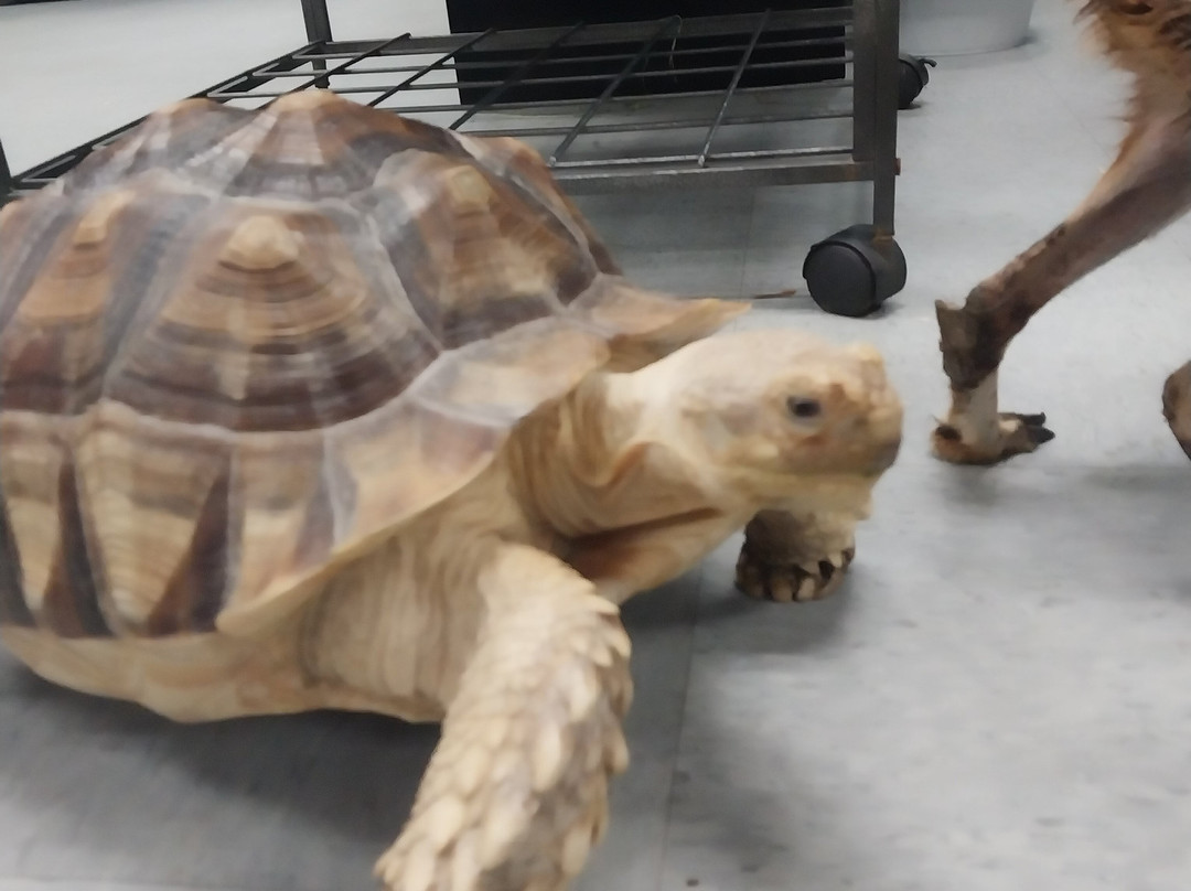 Panhandle Exotics-彭萨科拉必去景点