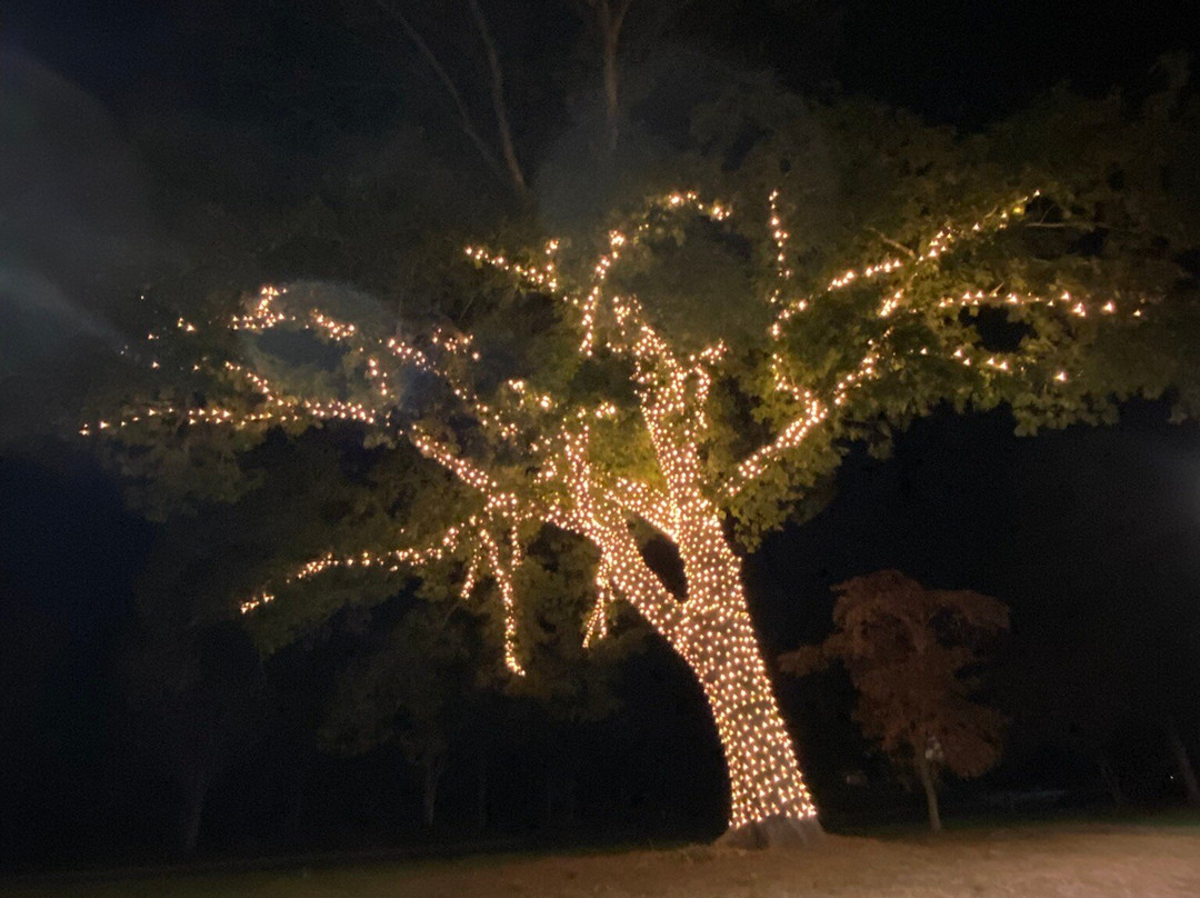 The Inn at Elon主图