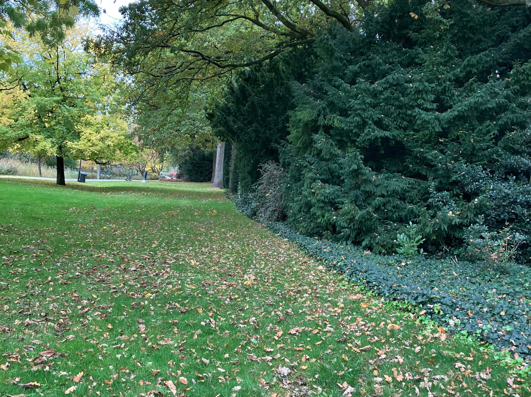 Stadswandelpark-埃因霍温必去景点