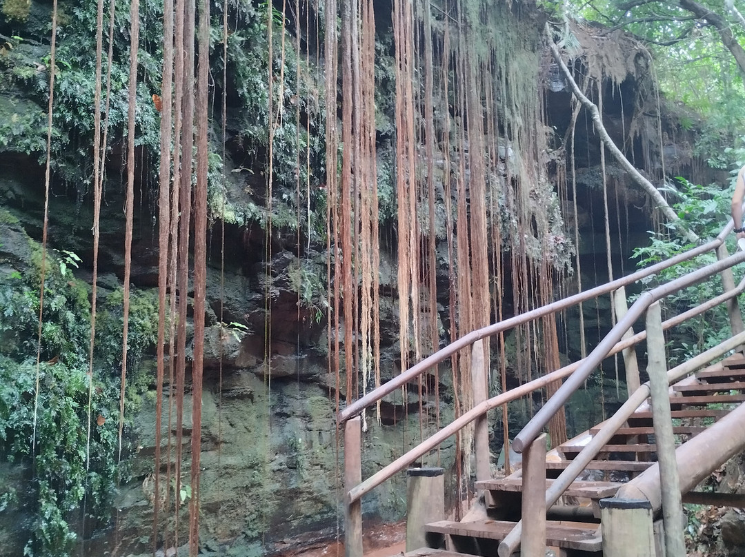 Cenario Nativo Expedicoes-Mateiros必去景点