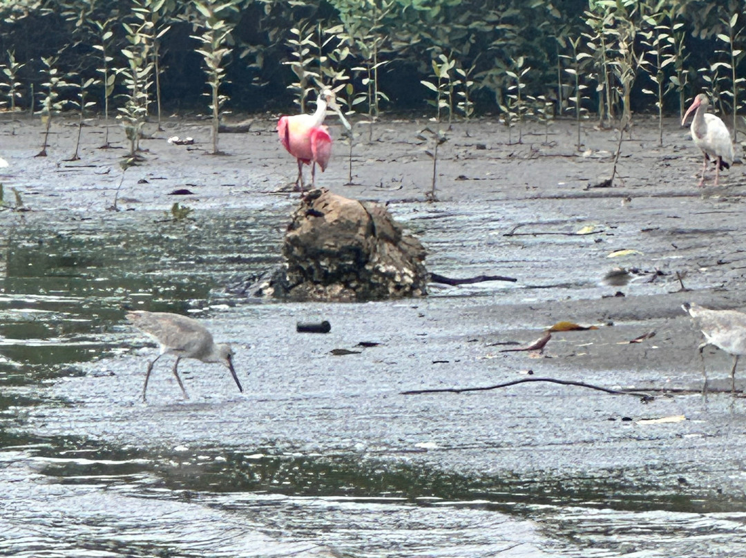 Nature Tours Gabriela-诺萨拉必去景点
