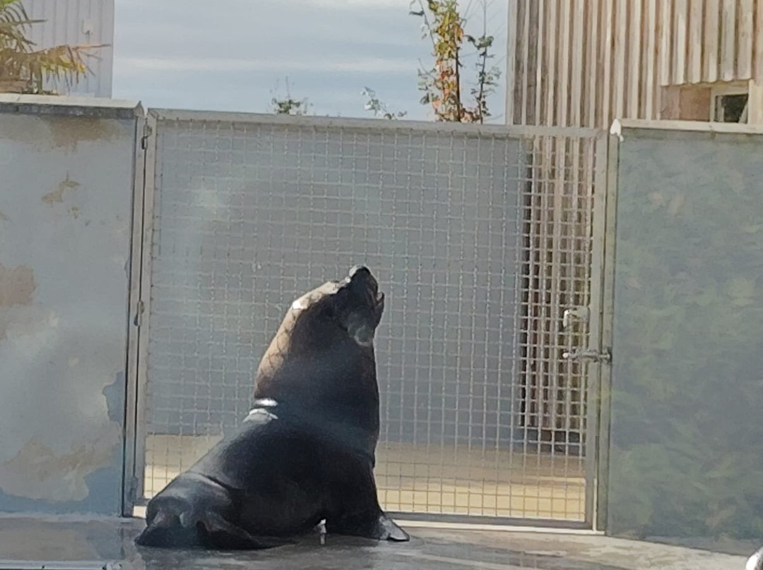 La Tanière - Zoo Refuge-Nogent-le-Phaye必去景点
