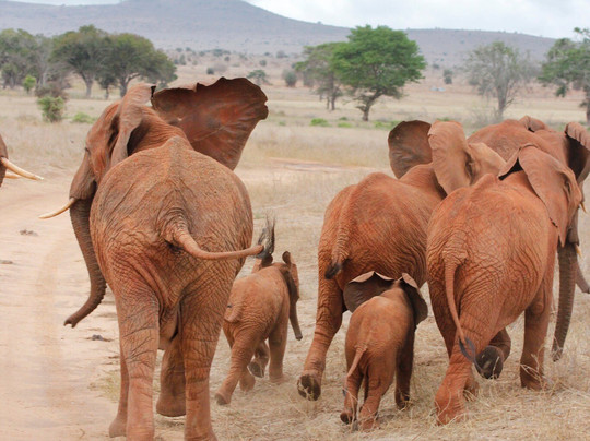 Filippo Bassa Marea-瓦塔木必去景点