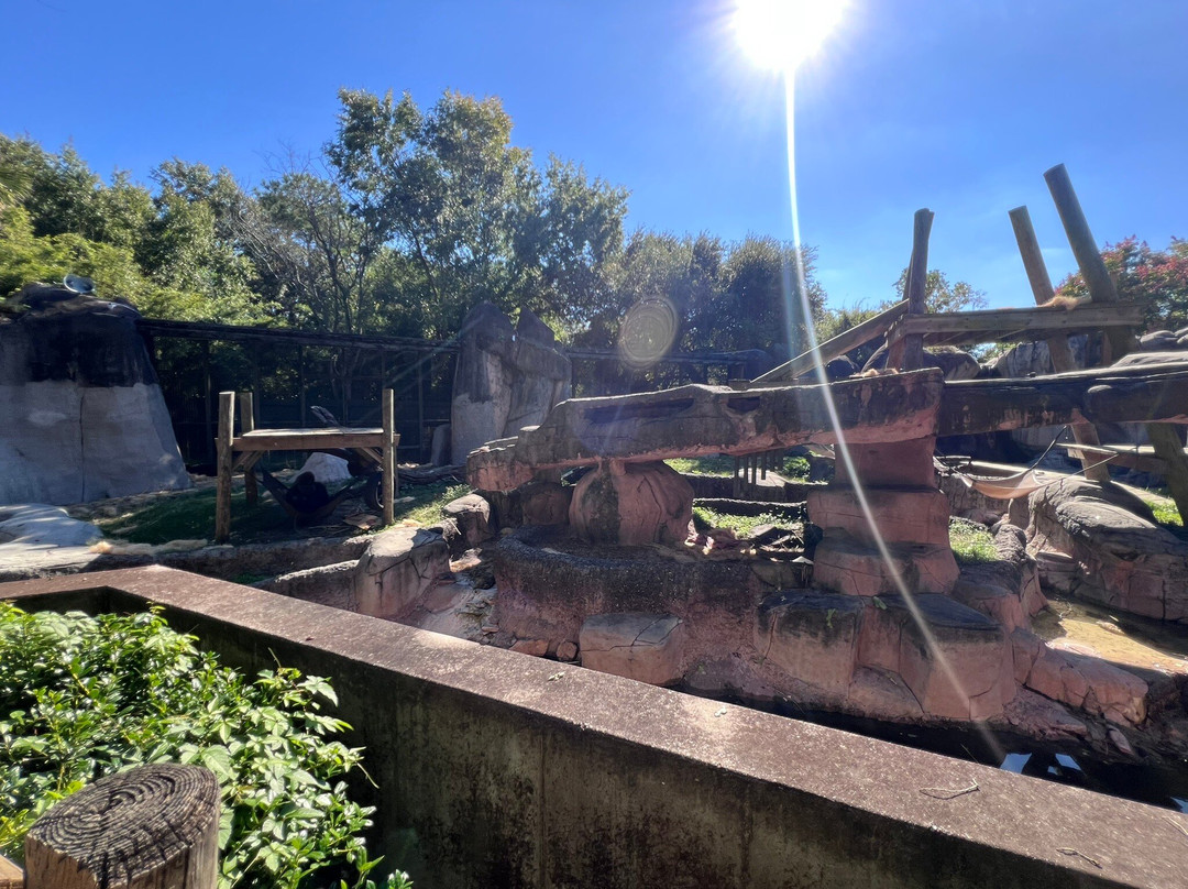 奥德邦动物园-新奥尔良必去景点