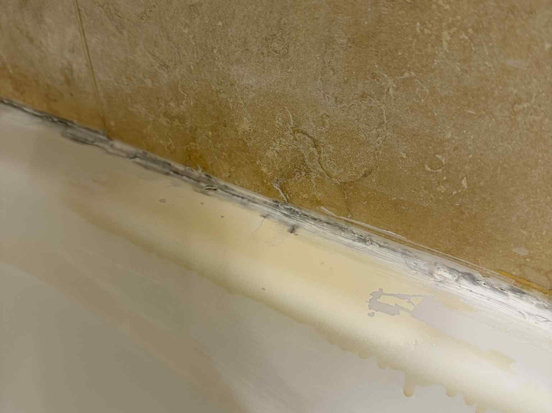 罗曼诺宫豪华酒店主图