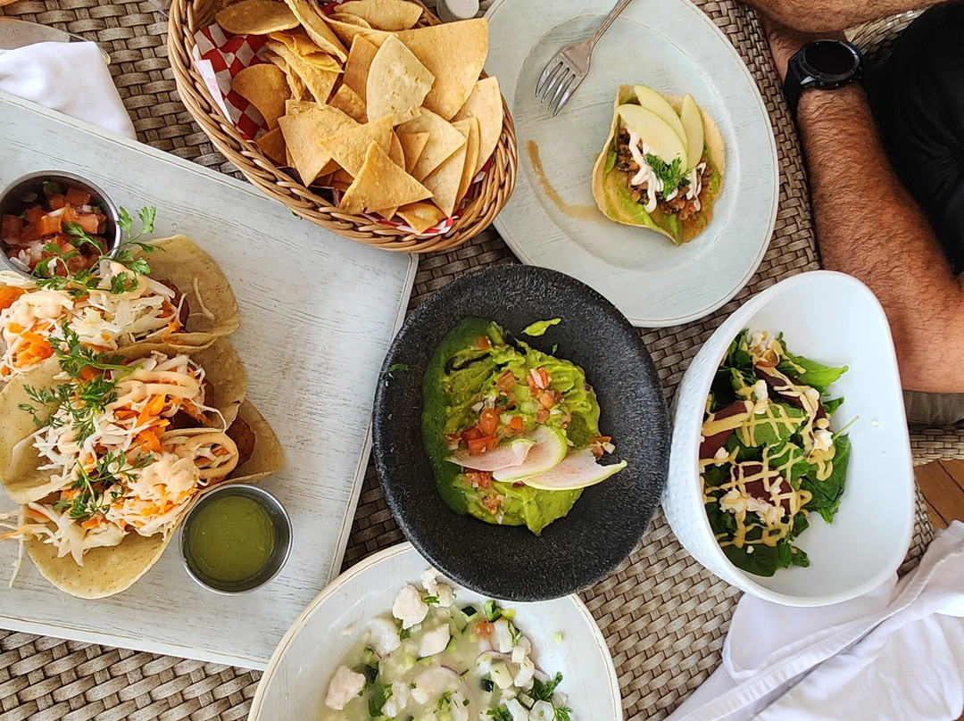 The Roof 28 - At The Reef 28-普拉亚德尔卡曼必去景点