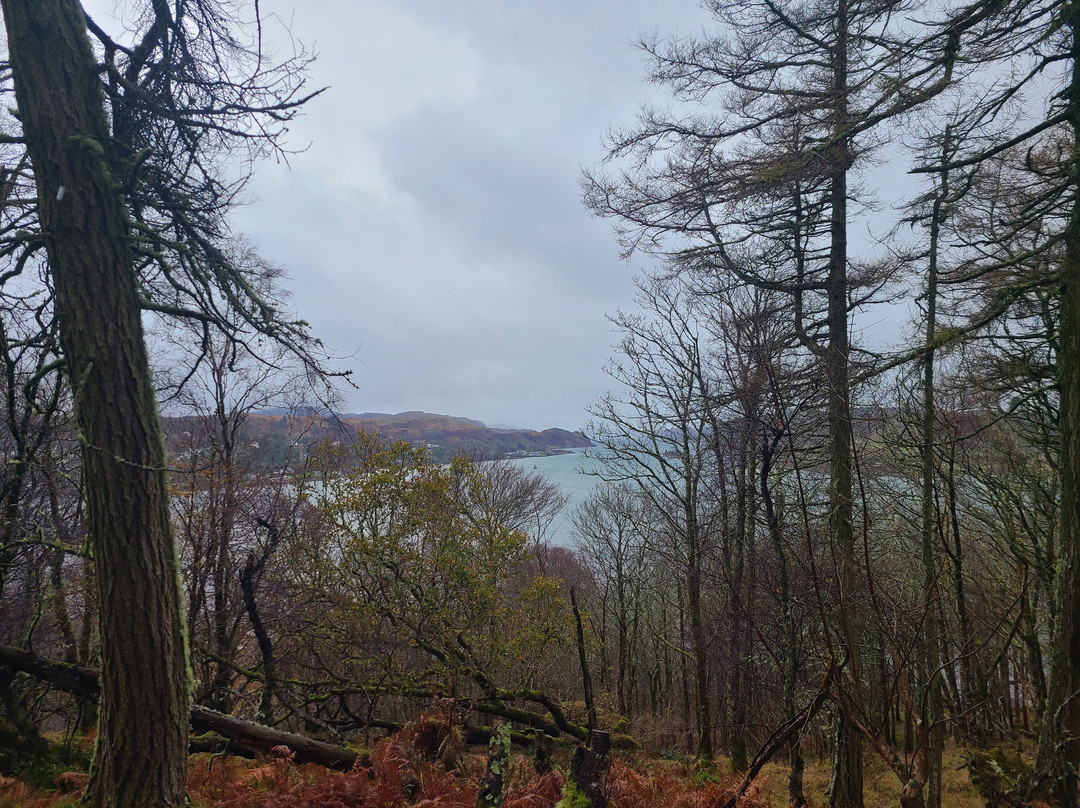 Dunollie Museum, Castle and Grounds-奥本必去景点