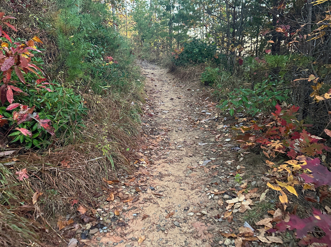 Cataract Falls-大雾山国家公园必去景点