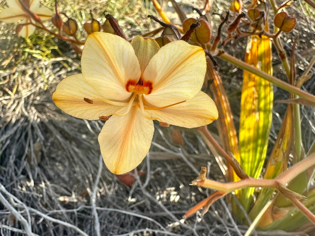 Blue Mountain Trail-Botrivier必去景点