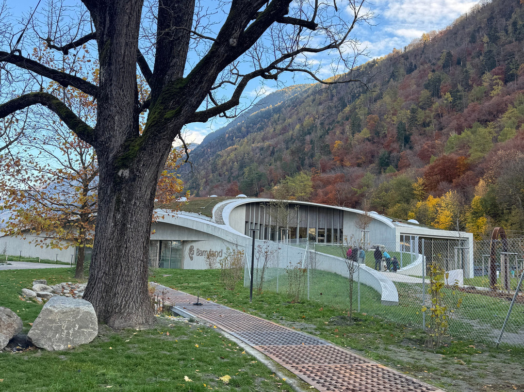 Barryland - Musée Et Chiens Du St-bernard-马蒂尼必去景点