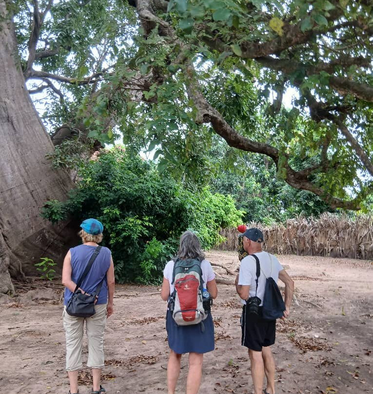 Sunrise Senegal 10-Day Retreat with Maureen & Saikou-Abene必去景点