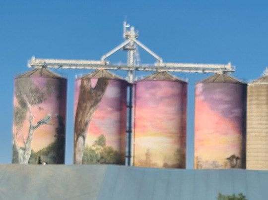 Thallon Silo Mural-Thallon必去景点