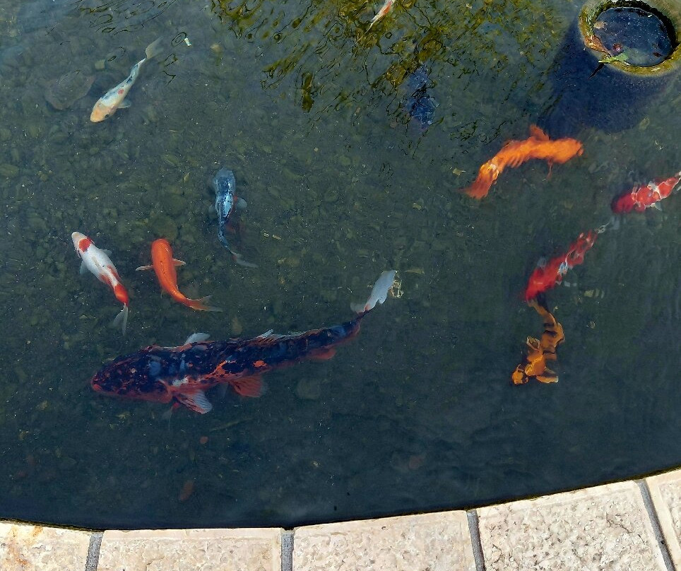 Ramat HaNadiv-Zichron Yaakov必去景点