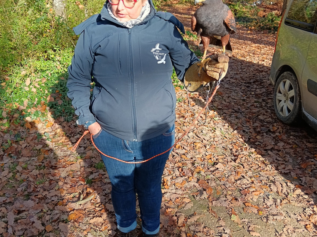 Mon Perroquet & Cie-Montrichard必去景点