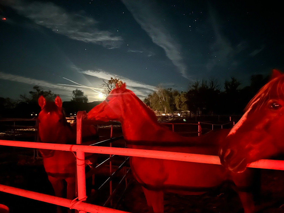 Acacia Riding Adventures-San Acacia必去景点