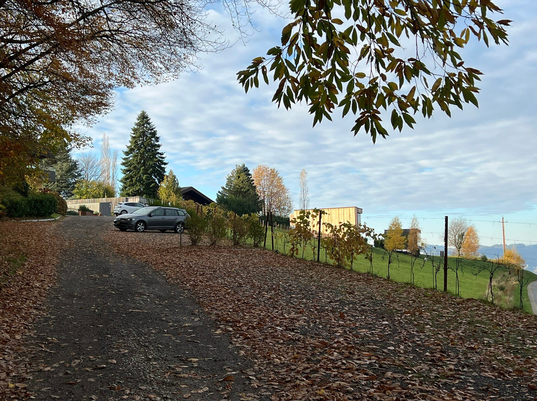 Wurzenberg Panorama Lodges Hotel Suedsteiermark主图