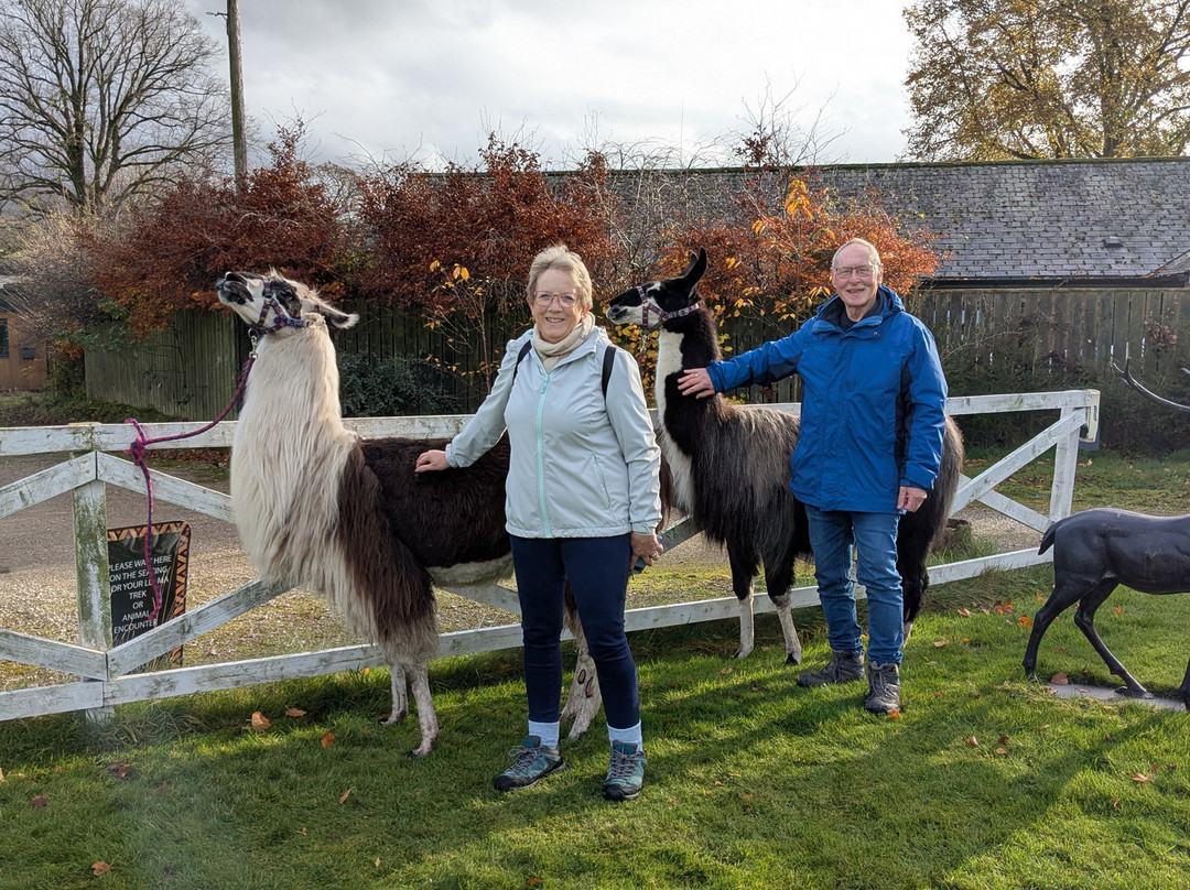 Lakeland Llama Treks-Melmerby必去景点