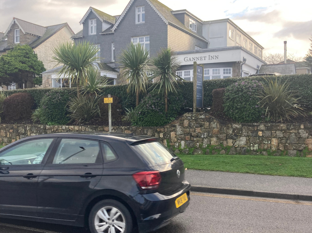 The Gannet Inn主图