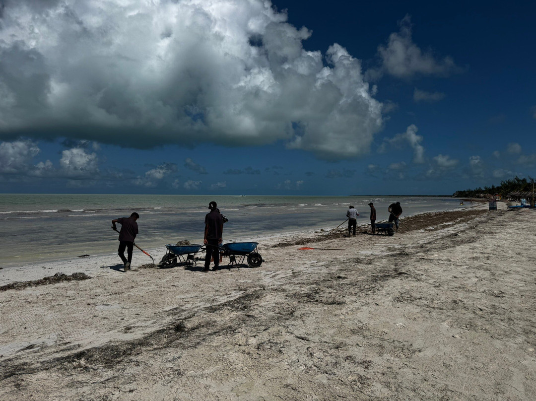 Playa Punta Cocos-Holbox Island必去景点