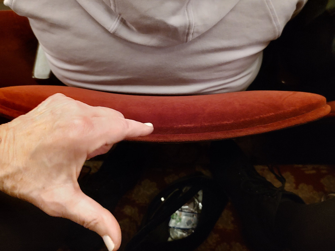 理查·罗杰斯剧院-纽约市必去景点