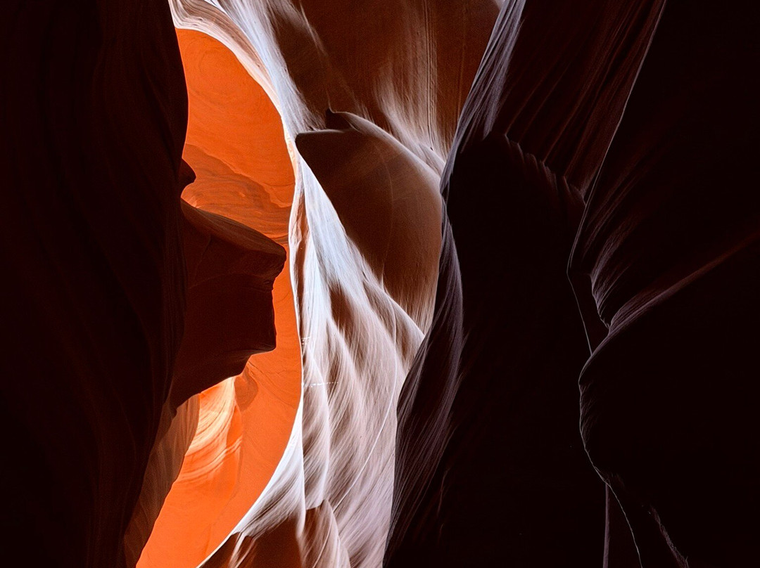 Black Streak Canyon Tours-佩吉必去景点