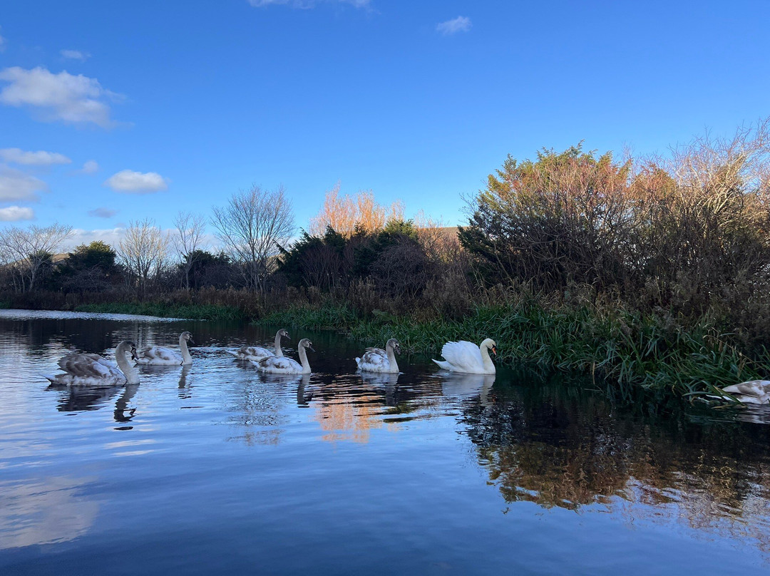 Bridge 8 Hub-爱丁堡必去景点