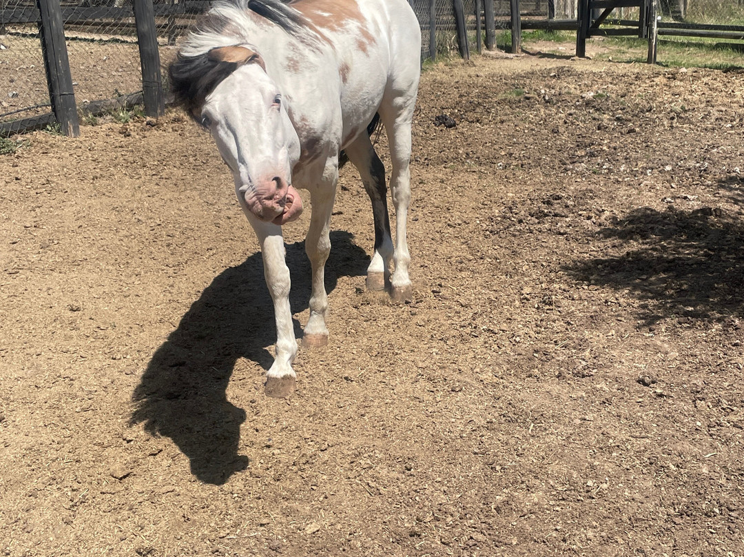 San Francisco Lodge主图