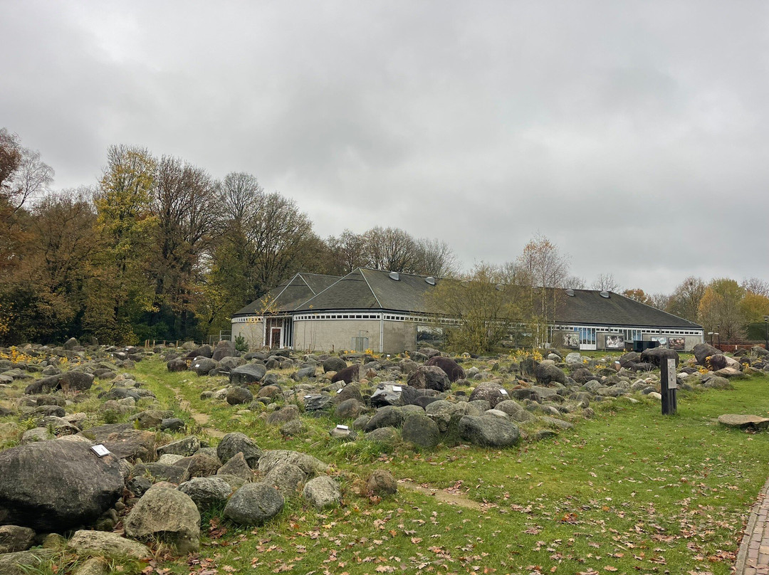 Hunebed Centre-Borger必去景点