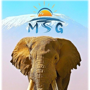 MSG Touristic Kenya