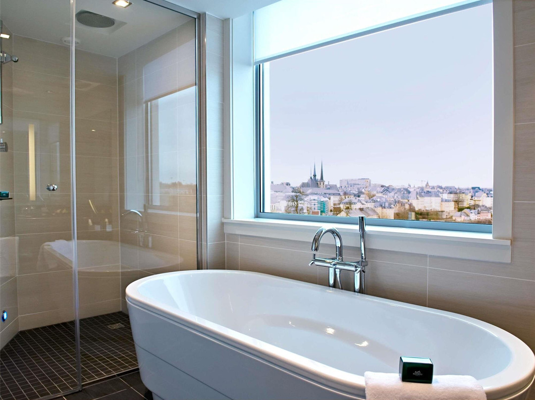 卢森堡城酒店住宿-Sofitel Luxembourg Le Grand Ducal