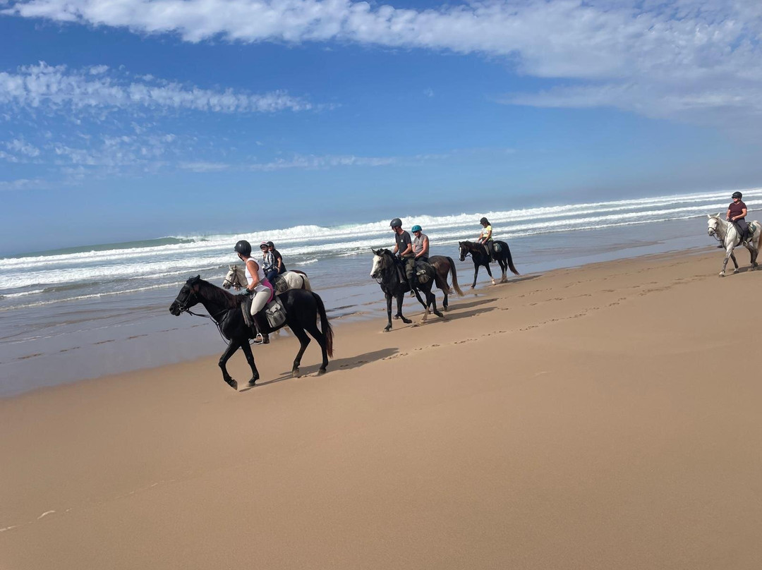 Ranch Sahara-阿加迪尔必去景点