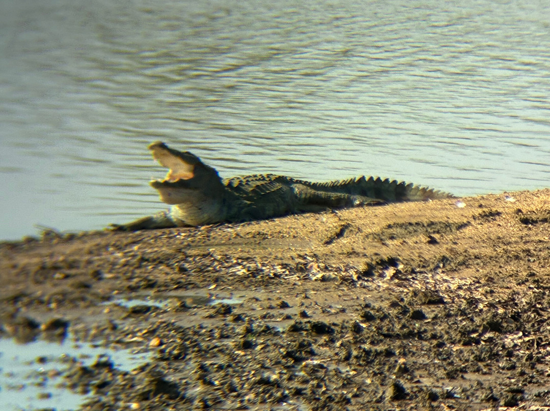 Udawalawe Lahiru Safari Guide Tours-乌达瓦拉维国家公园必去景点