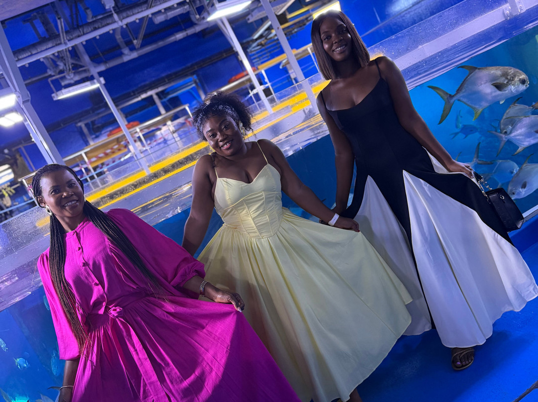 Travel Planners Ghana-阿克拉必去景点