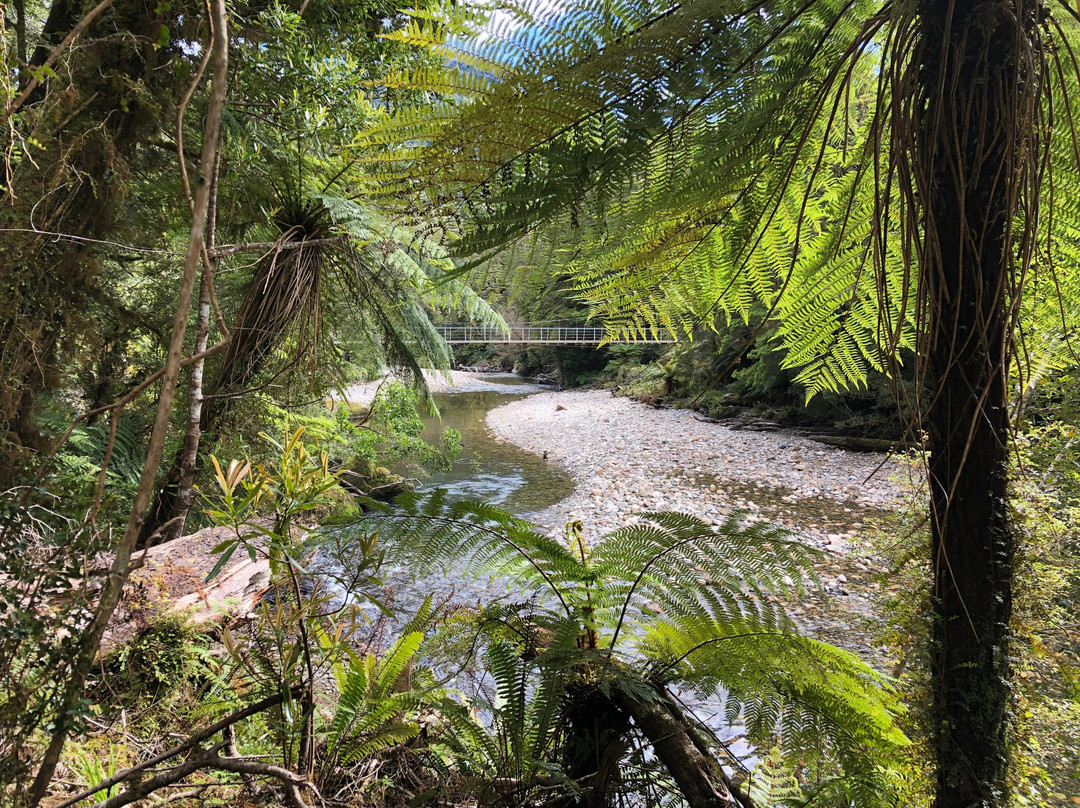Paparoa Guided Walks-普纳凯基必去景点
