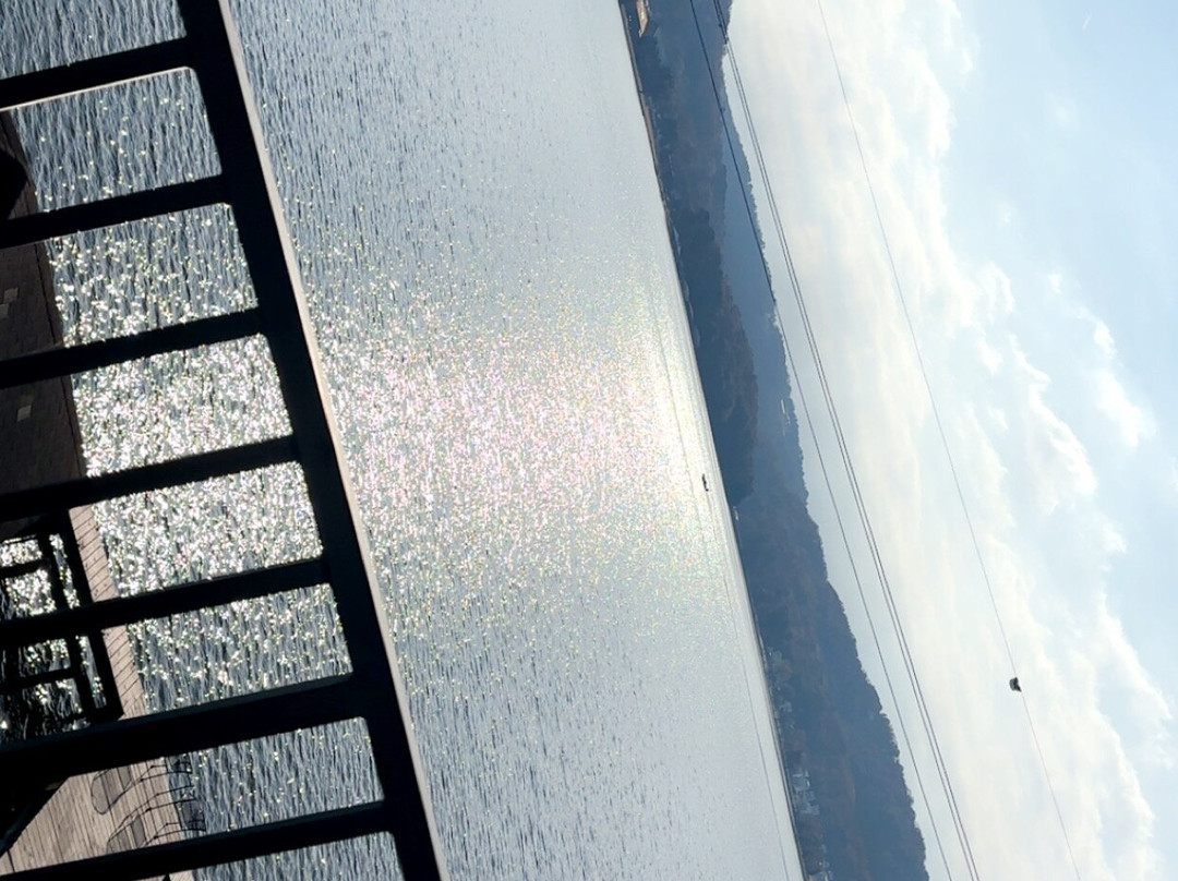 Wyndham Garden - Lake Guntersville主图