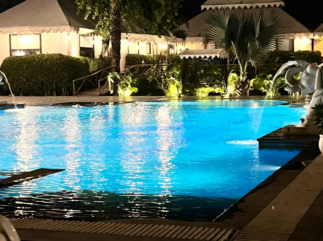 R Chandra's Palace主图