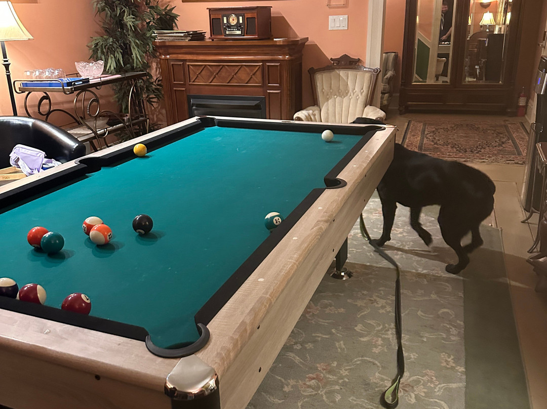 Garden and Sea Inn主图