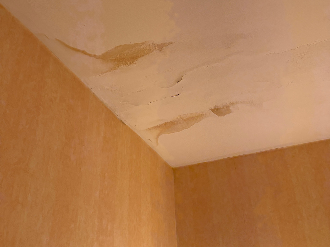 公园景观酒店主图