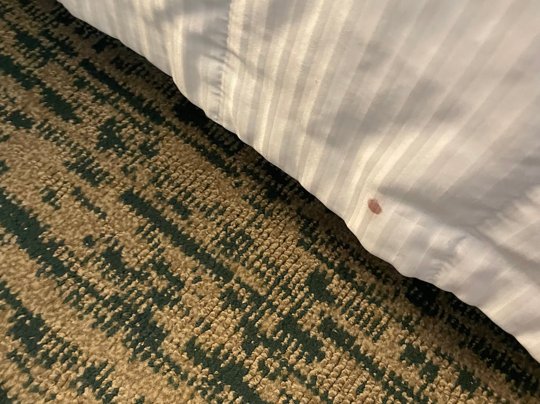 威斯汀普林斯维尔海洋度假别墅酒店主图