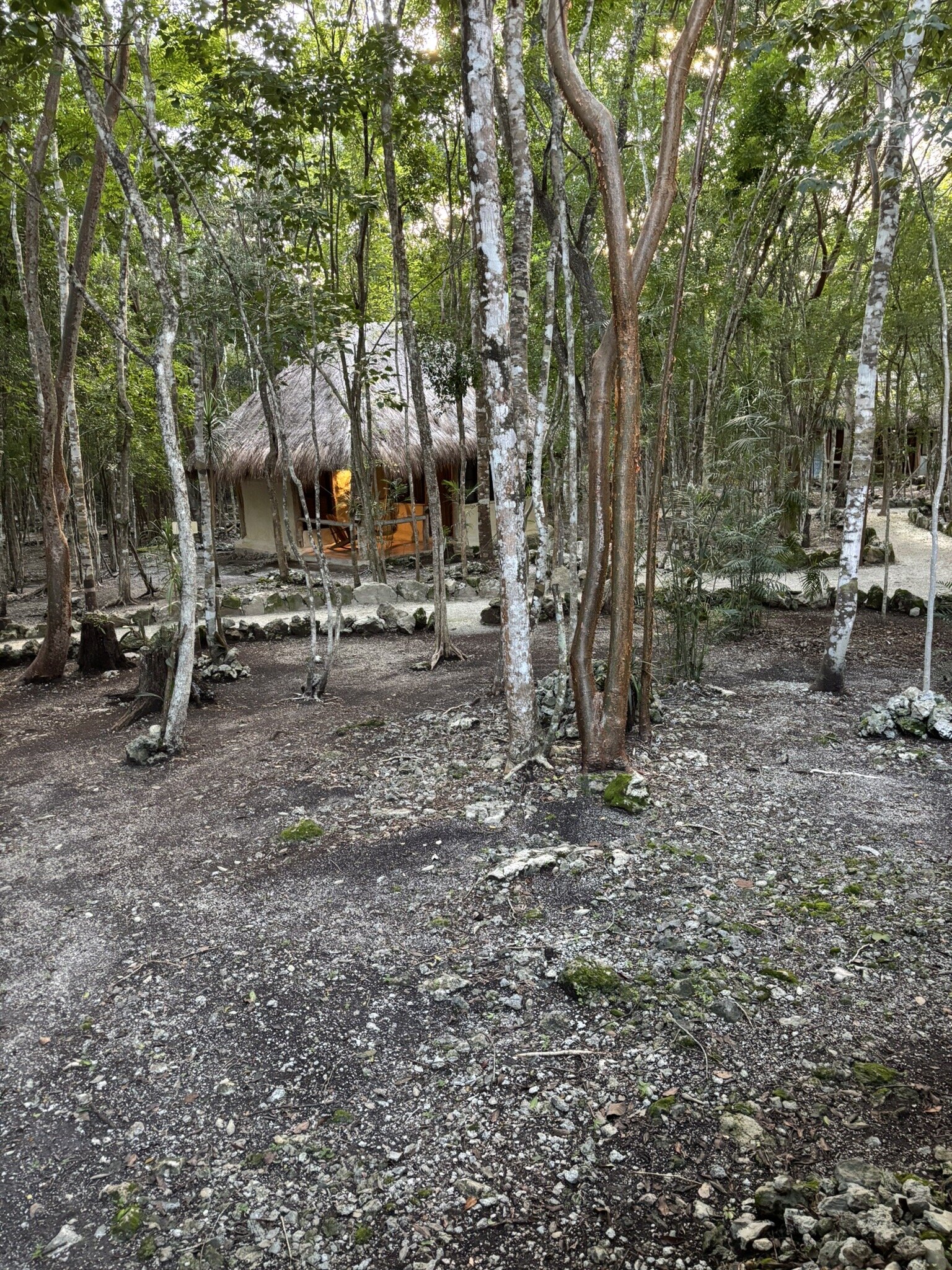 Hotel Puerta Calakmul-官方