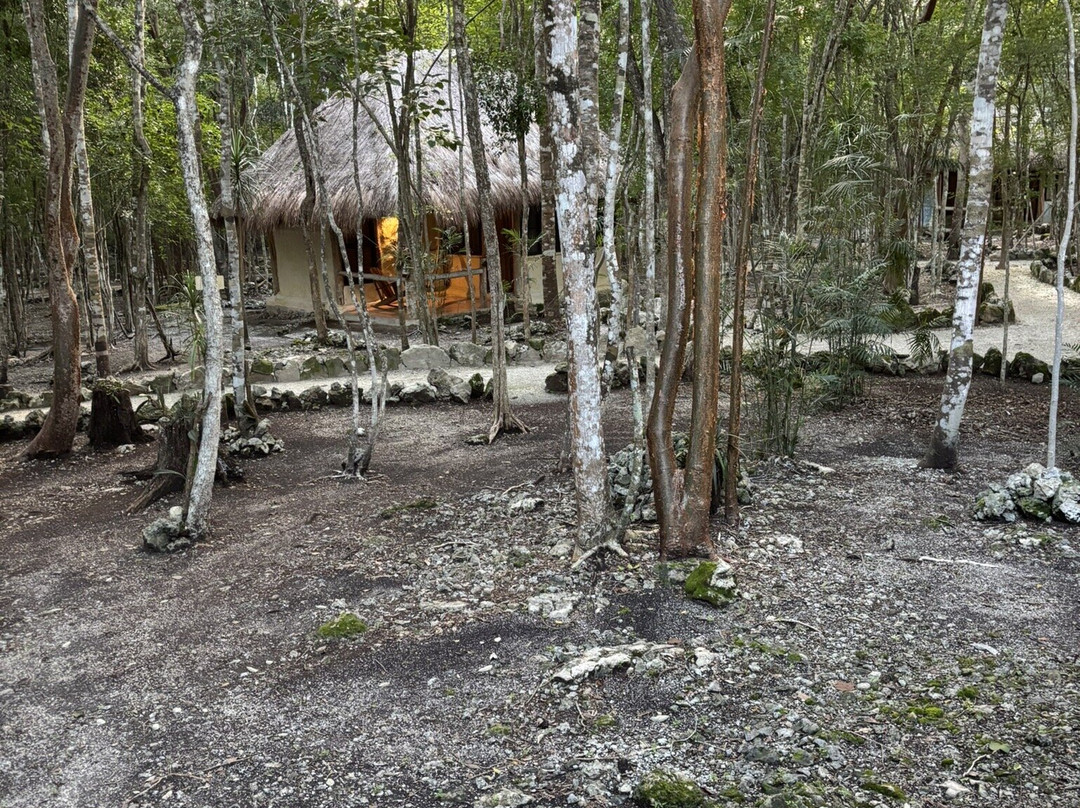 Hotel Puerta Calakmul主图