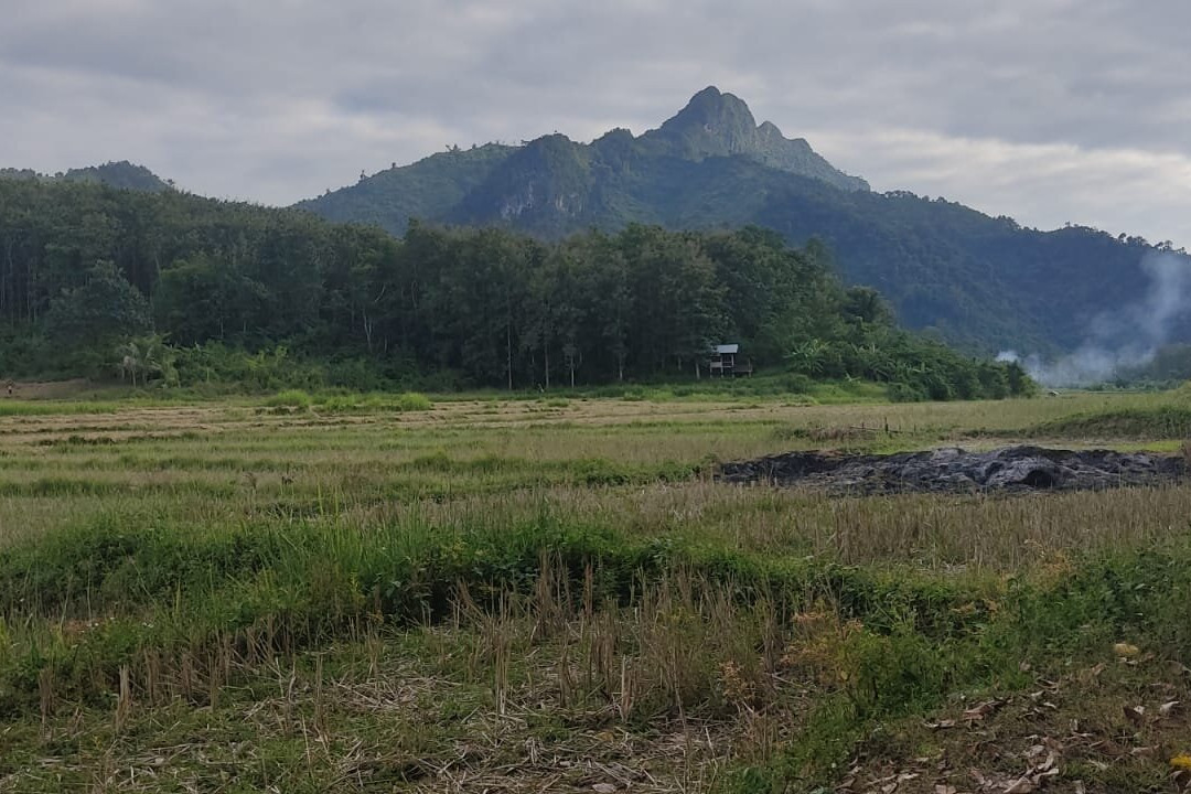 Luang Prabang Homestay主图