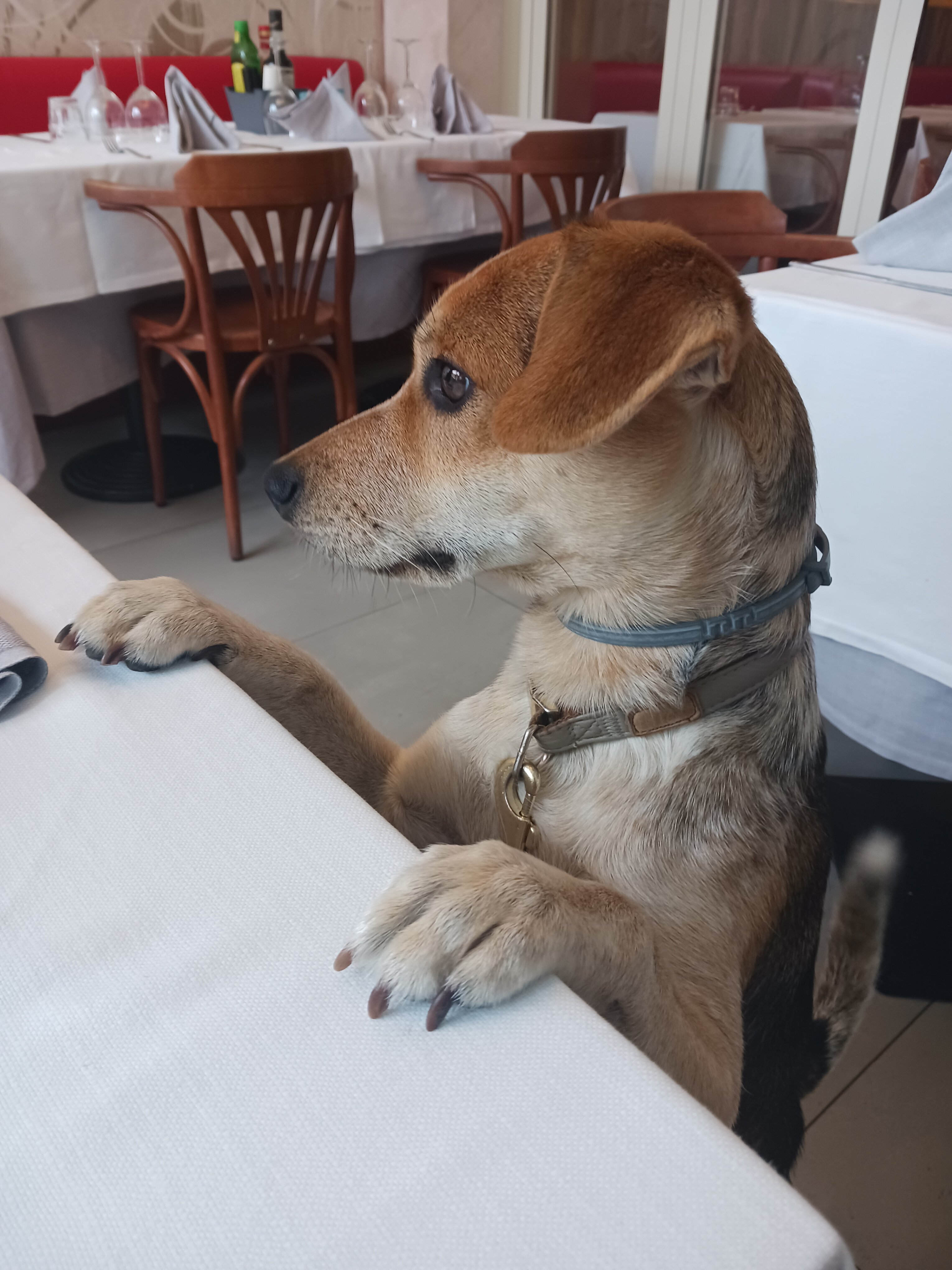 Hotel Hollywood-官方