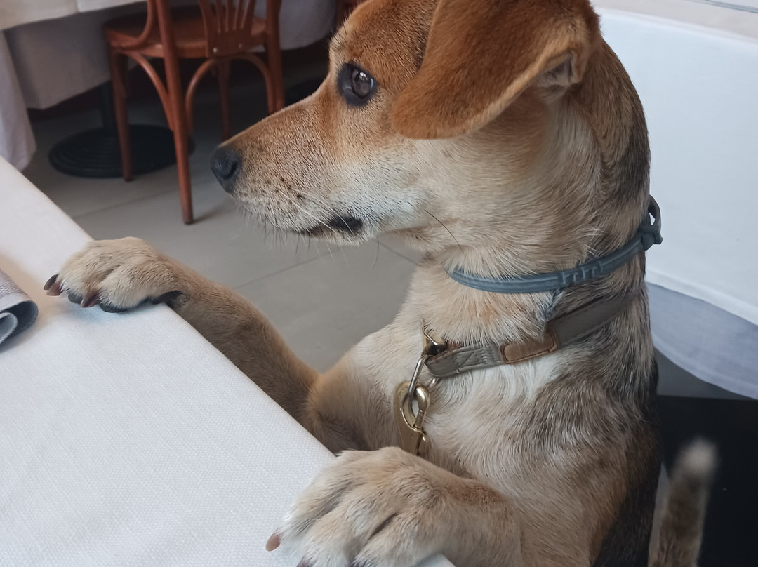 Hotel Hollywood主图